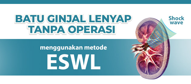 Extracorporeal Shock Wave Lithotripsy (ESWL)