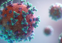 Waspada, Hepatitis Akut Bisa Menyerang Si Kecil