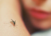Demam Berdarah Dengue: Gejala, dan Cara Mengatasinya