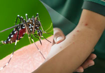 Mengenal Gejala Demam Berdarah, Penyebab, Pengobatan dan Pencegahannya