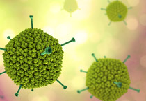 Mengenal Adenovirus